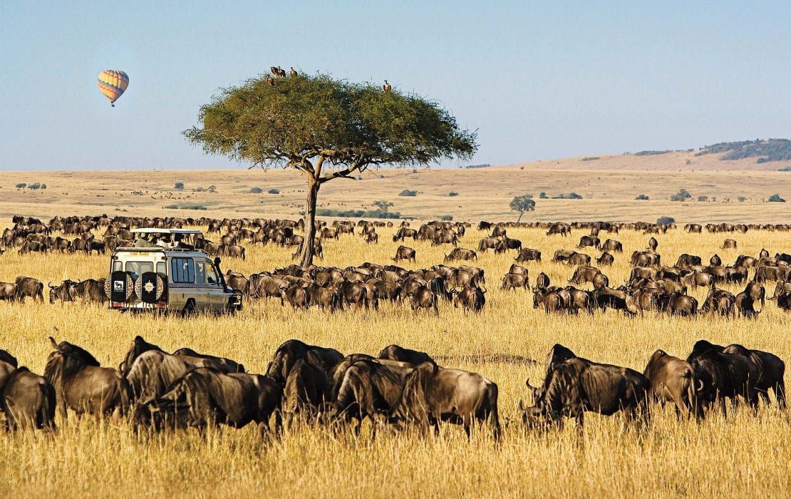 maasaimara